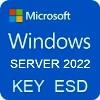 Microsoft WINDOWS SERVER 2022 STD 32/64 KEY ESD